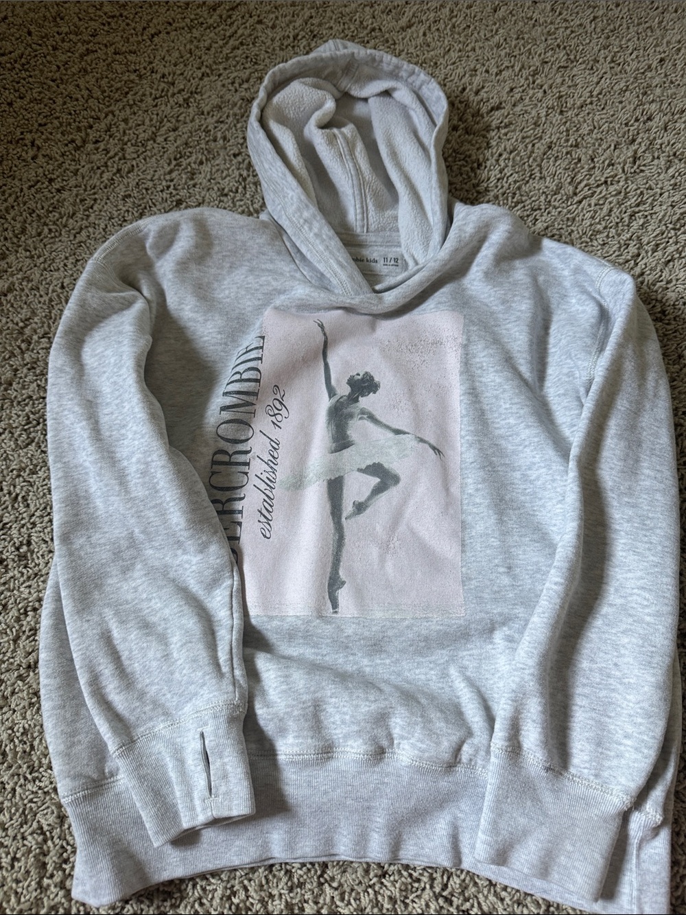 abercrombie kids Light Gray Hooded Pullover